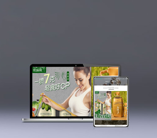 企業(yè)網(wǎng)站建設