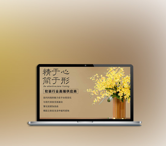 電商網(wǎng)站建設