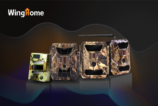 深圳網(wǎng)站建設(shè)案例(Discover Nature, Discover Home)