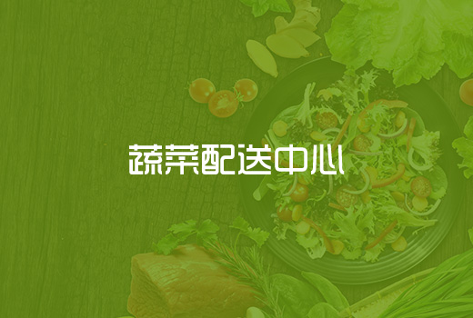 深圳網(wǎng)站建設(shè)案例(蔬菜配送商城網(wǎng)站建設(shè))