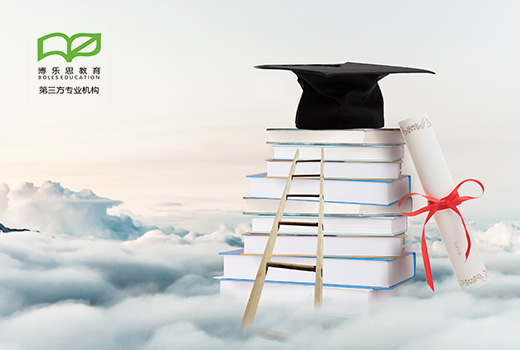 深圳網(wǎng)站建設案例(博樂思教育)